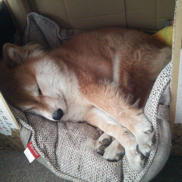 《年度最佳操作盘点:精彩瞬间汇总》,精彩操作集锦